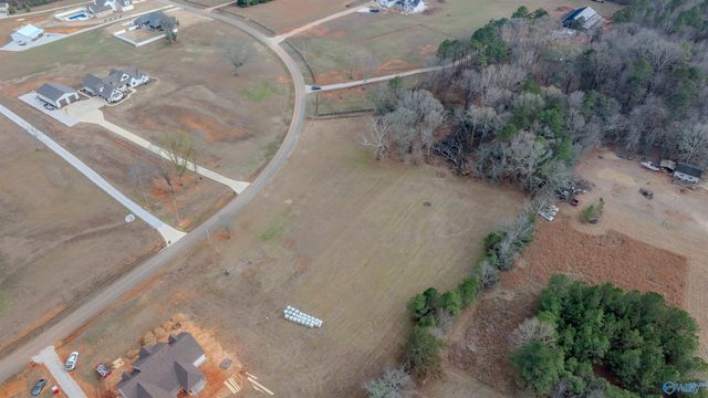 730 Davis Road, Rogersville, AL 35652