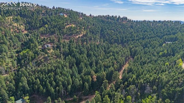 13255 Spruce Creek Circle, Larkspur, CO 80118