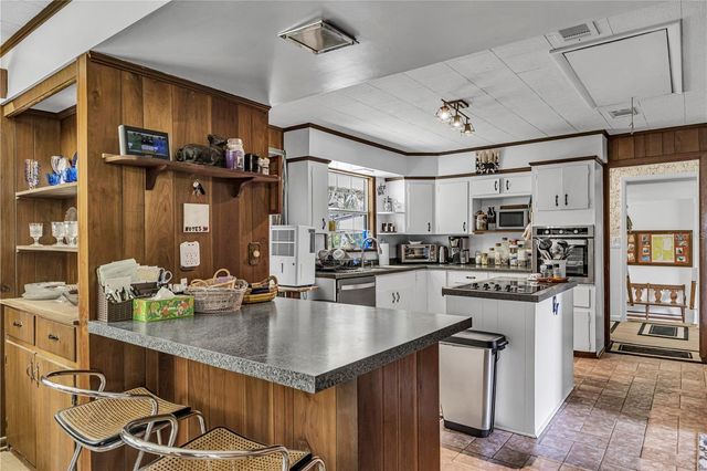 22308 BLUE CREEK LODGE ROAD, Astor, FL 32102
