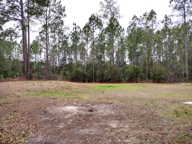 1568 HAZELNUT STREET, Bunnell, FL 32110