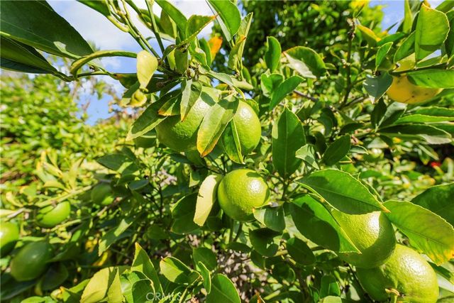 3871 Banyan, Irvine, CA 92606