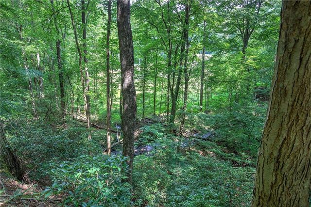 581 Crippled Oak Trail, Jasper, GA 30143