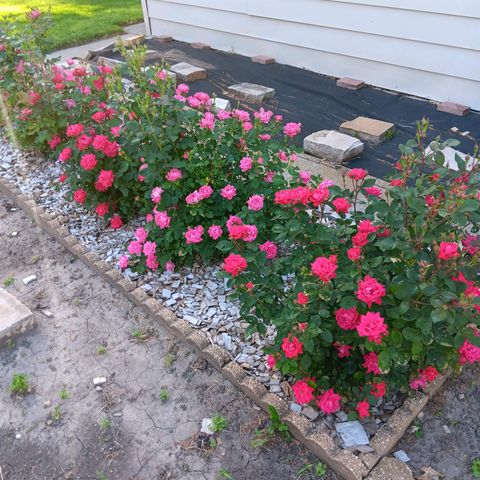 202 Byrnbrae Street, Waterloo, IA 50701