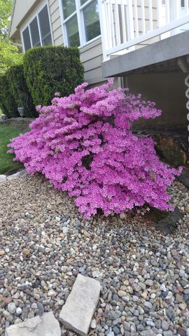 202 Byrnbrae Street, Waterloo, IA 50701