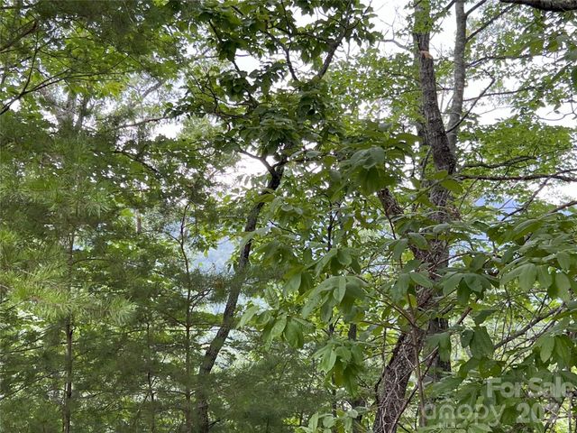 0 Stratford Drive 19, Mill Spring, NC 28756