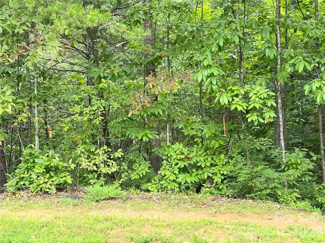 0 Stratford Drive 19, Mill Spring, NC 28756