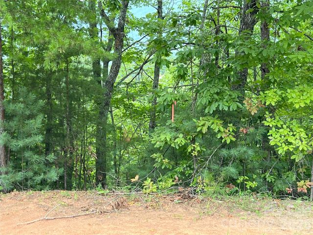 0 Stratford Drive 19, Mill Spring, NC 28756