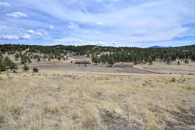 81 High Pasture Road, Florissant, CO 80816