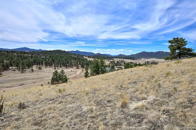 81 High Pasture Road, Florissant, CO 80816