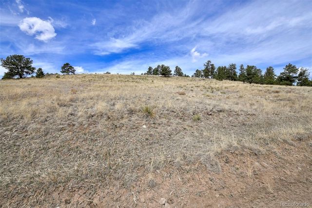 81 High Pasture Road, Florissant, CO 80816