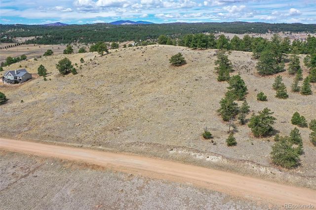 81 High Pasture Road, Florissant, CO 80816