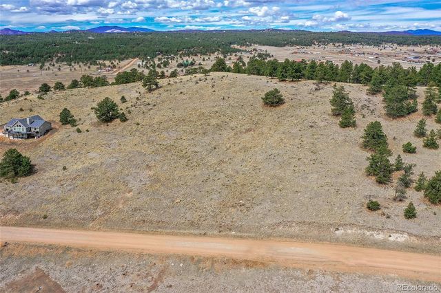 81 High Pasture Road, Florissant, CO 80816