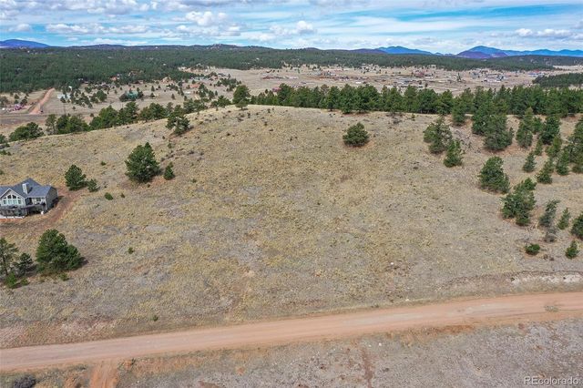81 High Pasture Road, Florissant, CO 80816
