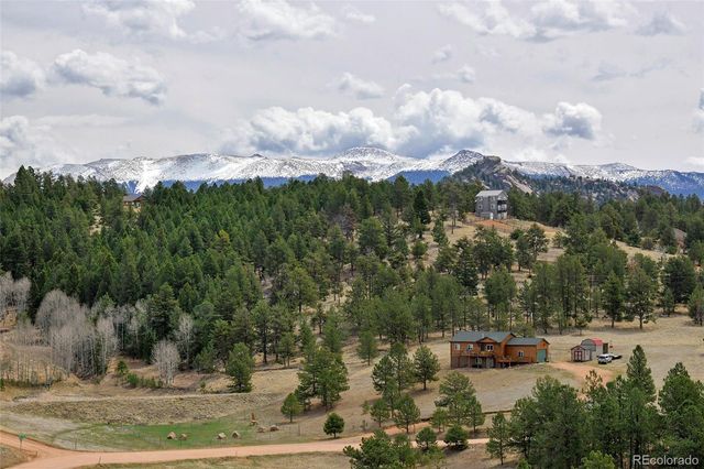 81 High Pasture Road, Florissant, CO 80816