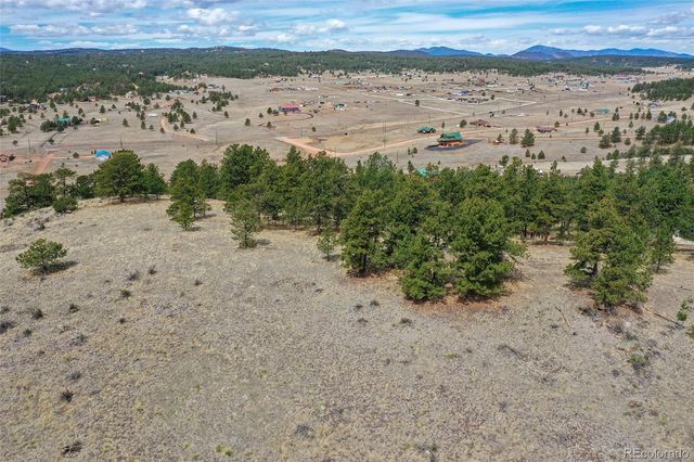 81 High Pasture Road, Florissant, CO 80816