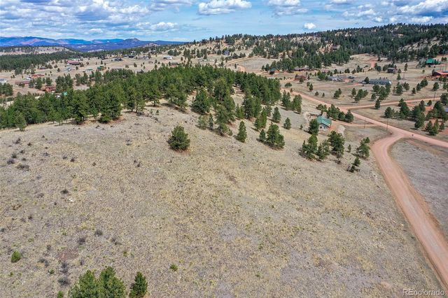 81 High Pasture Road, Florissant, CO 80816