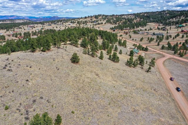 81 High Pasture Road, Florissant, CO 80816