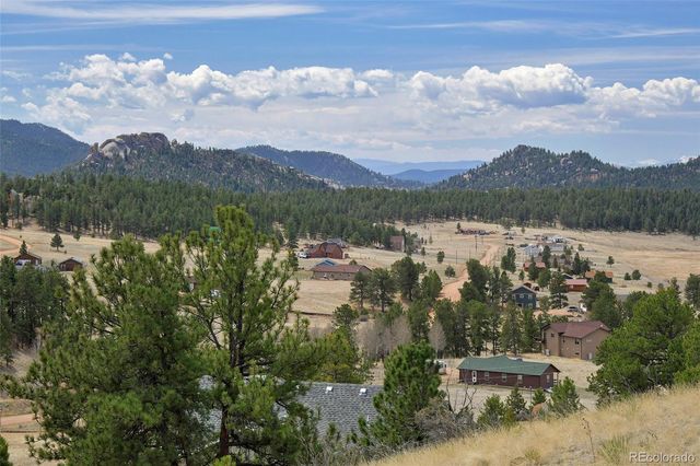 81 High Pasture Road, Florissant, CO 80816