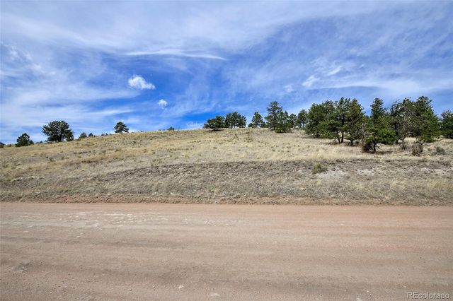 81 High Pasture Road, Florissant, CO 80816
