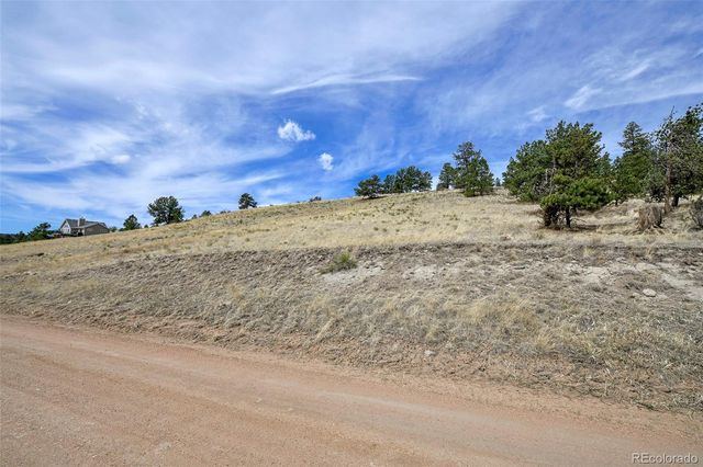 81 High Pasture Road, Florissant, CO 80816
