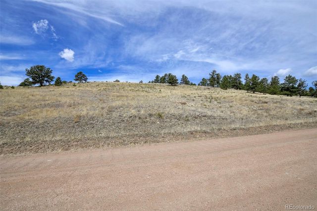 81 High Pasture Road, Florissant, CO 80816