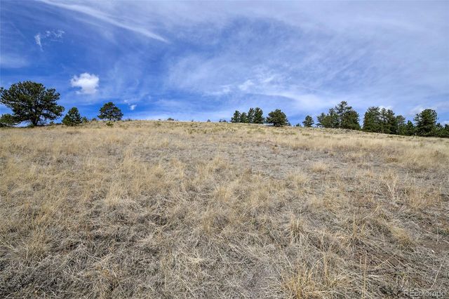 81 High Pasture Road, Florissant, CO 80816