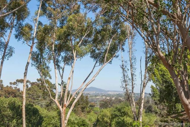 16238 Via Del Alba, Rancho Santa Fe, CA 92067