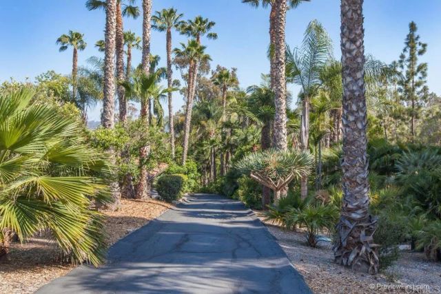 16238 Via Del Alba, Rancho Santa Fe, CA 92067