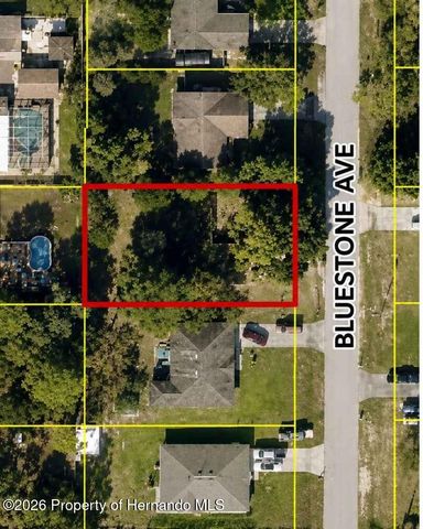 3249 Bluestone Avenue, Spring Hill, FL 34609