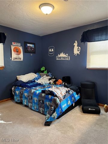 9929 E River Road, Elyria, OH 44035