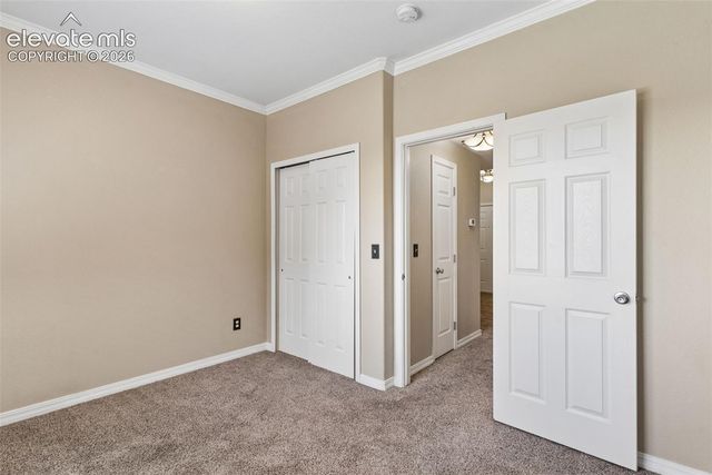 1695 Little Bear Creek Point 304, Colorado Springs, CO 80904