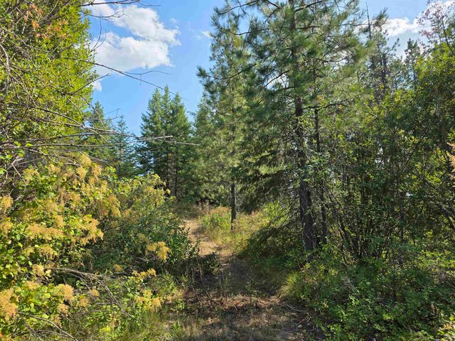 251 Hearts Delight Ln, Newport, WA 99156