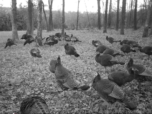 20005 Hwy 80, Hulbert, OK 74441