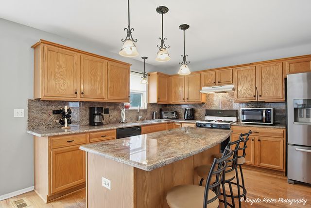 283 Spring Lake Drive, Round Lake, IL 60073