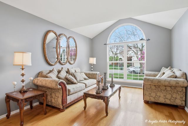 283 Spring Lake Drive, Round Lake, IL 60073