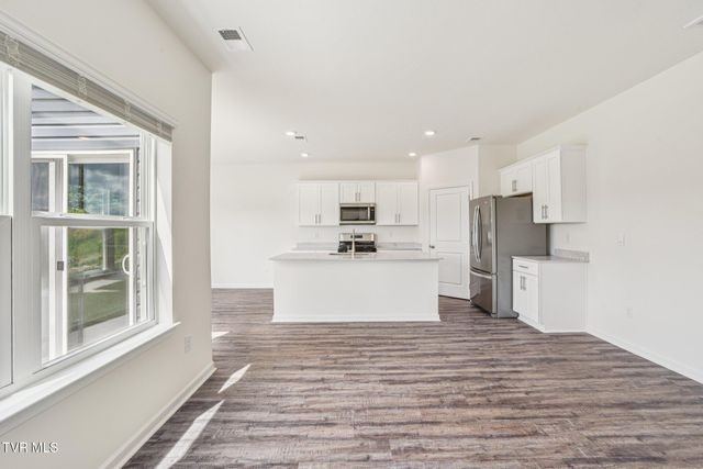 135 Mint Court, Bluff City, TN 37618