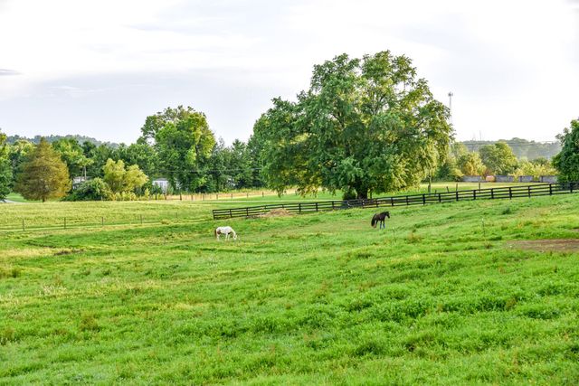 575 Smith Brewer Road, London, KY 40744