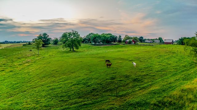 575 Smith Brewer Road, London, KY 40744