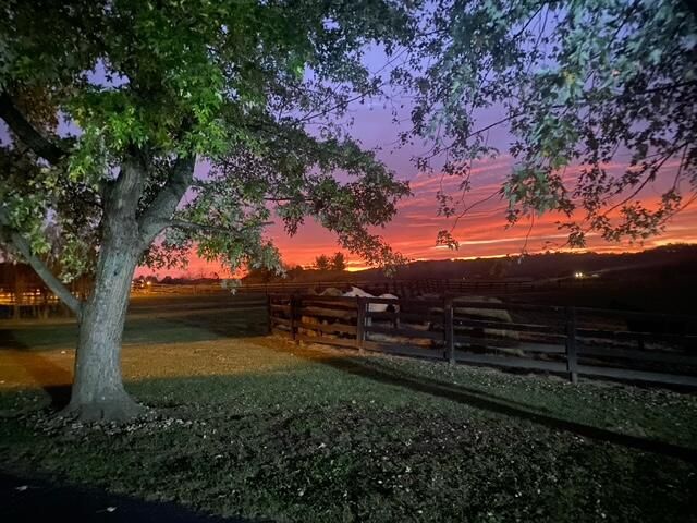 575 Smith Brewer Road, London, KY 40744