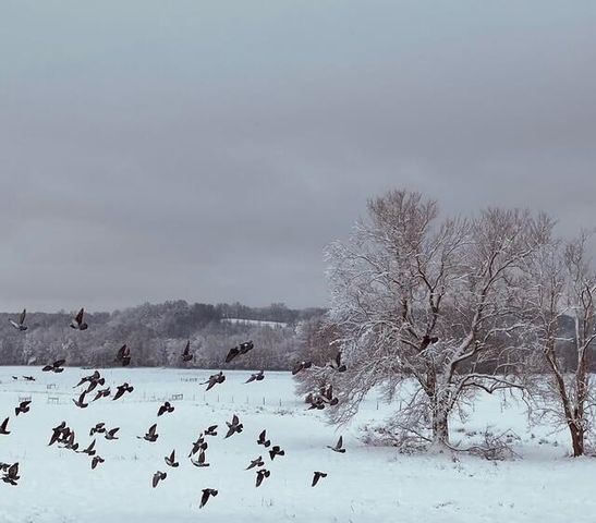 575 Smith Brewer Road, London, KY 40744