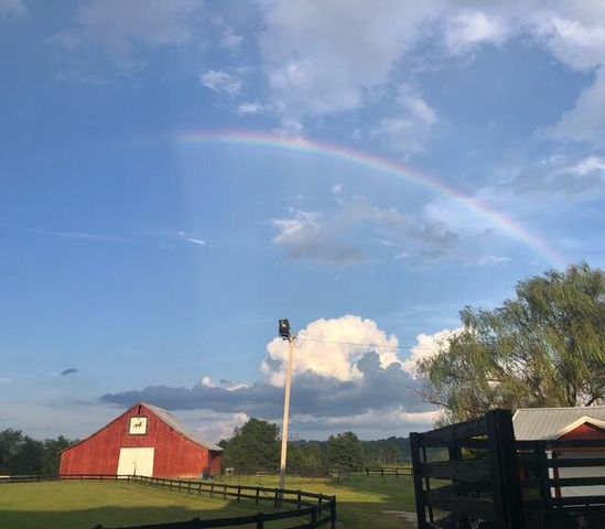 575 Smith Brewer Road, London, KY 40744