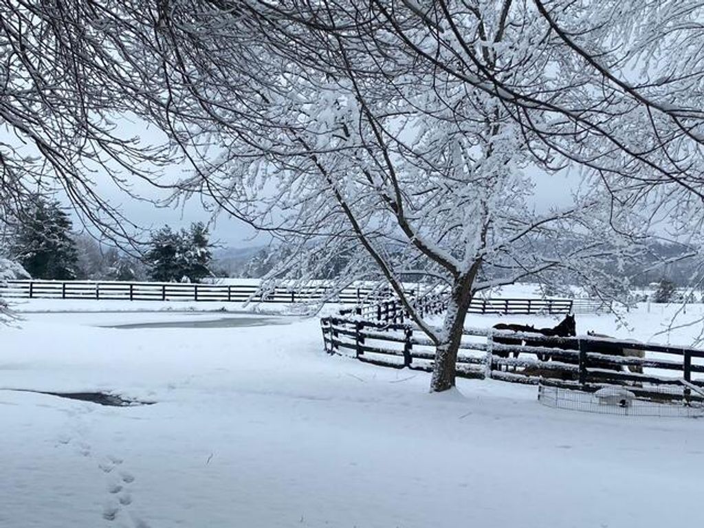 575 Smith Brewer Road, London, KY 40744