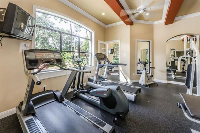 2148 CHIANTI PLACE 1310, Palm Harbor, FL 34683