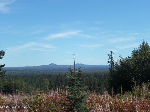 17515 Arcturus Loop, Ninilchik, AK 99639