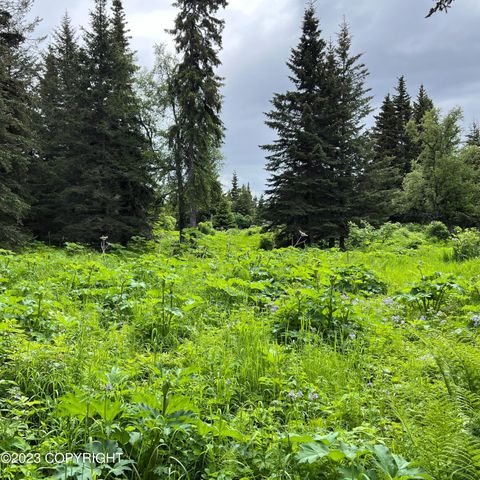 17515 Arcturus Loop, Ninilchik, AK 99639