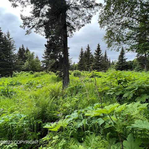 17515 Arcturus Loop, Ninilchik, AK 99639