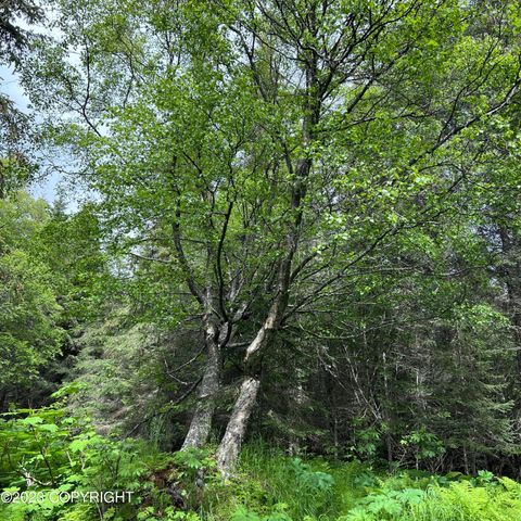 17515 Arcturus Loop, Ninilchik, AK 99639