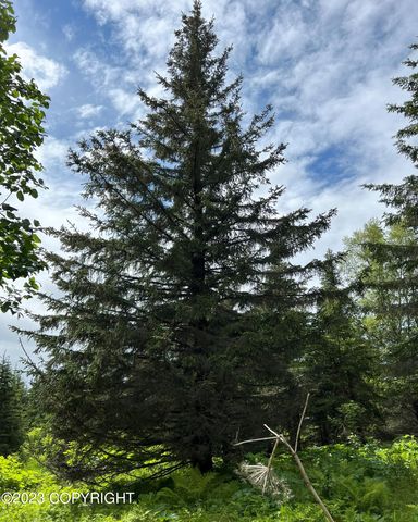 17515 Arcturus Loop, Ninilchik, AK 99639