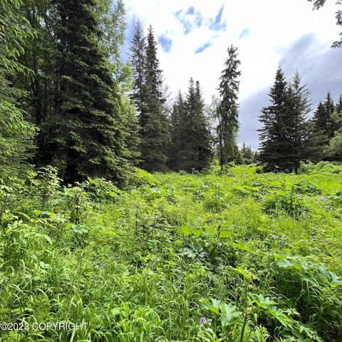 17515 Arcturus Loop, Ninilchik, AK 99639