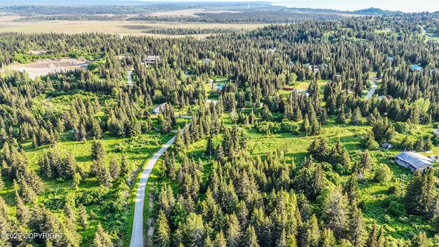 17515 Arcturus Loop, Ninilchik, AK 99639